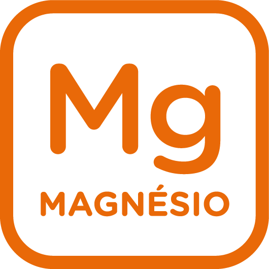 Magnésio